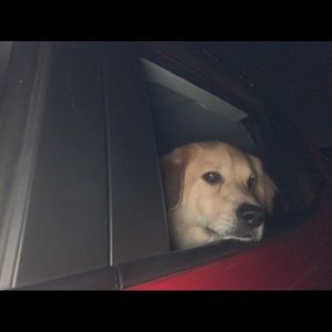 Meet your Posher, Savannah